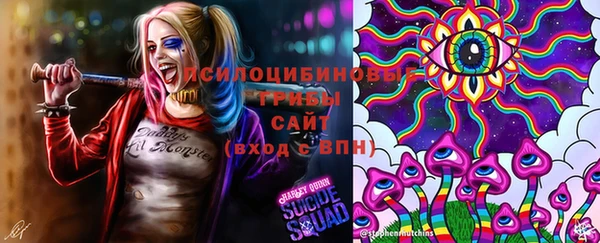 бутират Лабытнанги