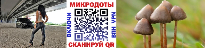 Купить закладки  Переславль-Залесский  Псилоцибиновые грибы Cubensis 